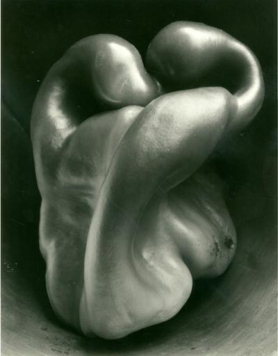 Edward Weston Pepper 30 1930