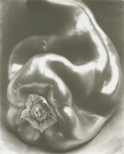 Edward Weston Untitled