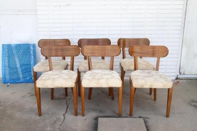 Edward Wormley Set of Six 239 4 Edward Wormley Precedent by Drexel Dining Chairs