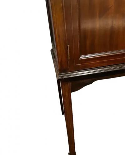 Edwardian Mahogany Vitrine Cabinet