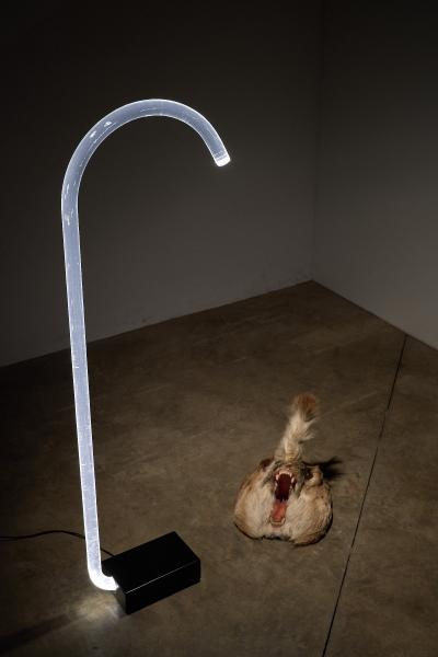 Edy ten Berge King Transparent Acrylic Floor Lamp 1980s