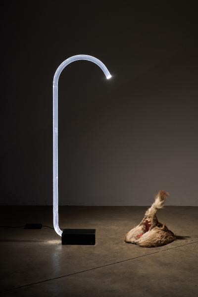 Edy ten Berge King Transparent Acrylic Floor Lamp 1980s