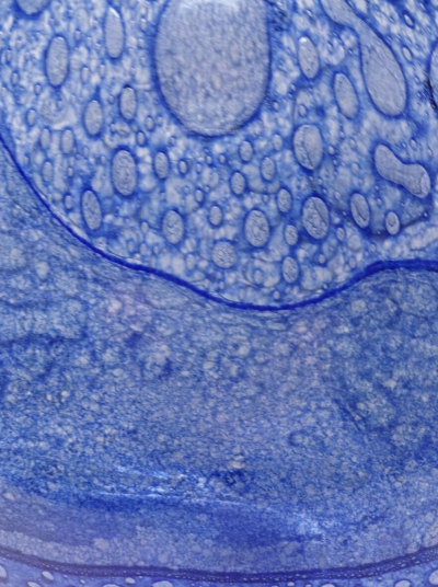 Efeso Vase designed in 1964 Ercole Barovier