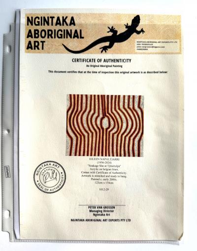 Eileen Napatjarri Large Abstract Dreamtime Aboriginal Painting by Eileen Napatjarri