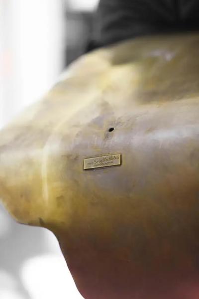 Elephant Head In Brass Edizioni Molto Handcrafted in Italy 