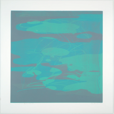 Elizabeth Dexheimer Cloud Koi Flow I