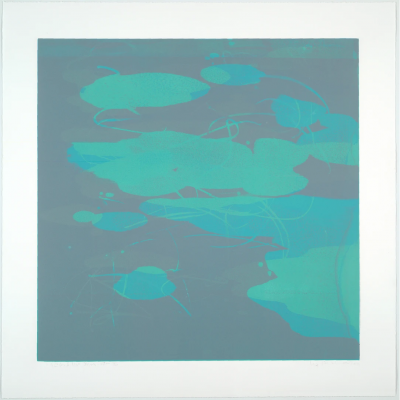 Elizabeth Dexheimer Cloud Koi Flow IV