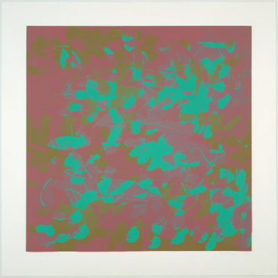 Elizabeth Dexheimer Magnolia I