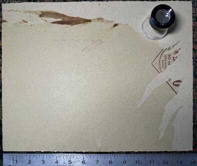 Ellen Barbara Segner Mid Century Brownie Blond Girl Scout 4th of July Salute with American Flag