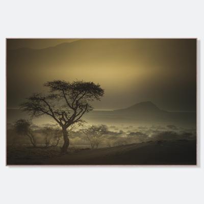 Eloi Ficat TERRES PERDUES I 3 8 Fine Art photography