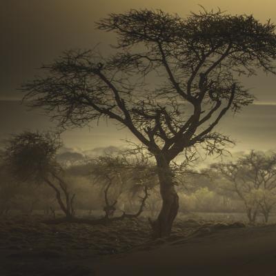 Eloi Ficat TERRES PERDUES I 3 8 Fine Art photography