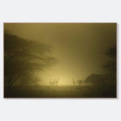 Eloi Ficat TERRES PERDUES II 4 8 Fine Art photography