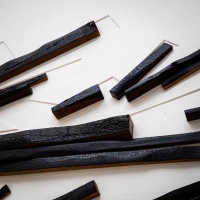 Elvio Becheroni Italy 1934 2000 Series Amazonia foresta desincantata 1992