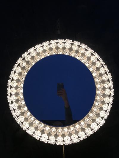 Emil Stejnar Illuminated Floral Glass Backlit Mirror