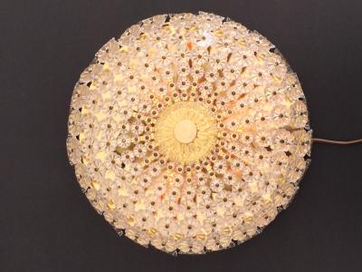 Emil Stejnar Pair of Emil Stejnar Attributed Floral Glass Flush Mounts