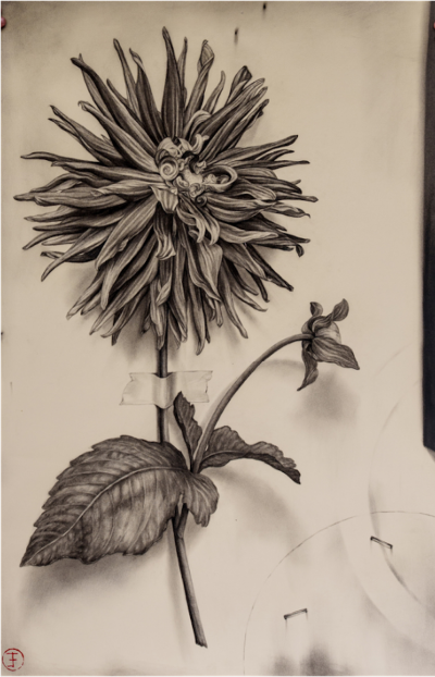 Emily Farish Dahlia No 116 2025