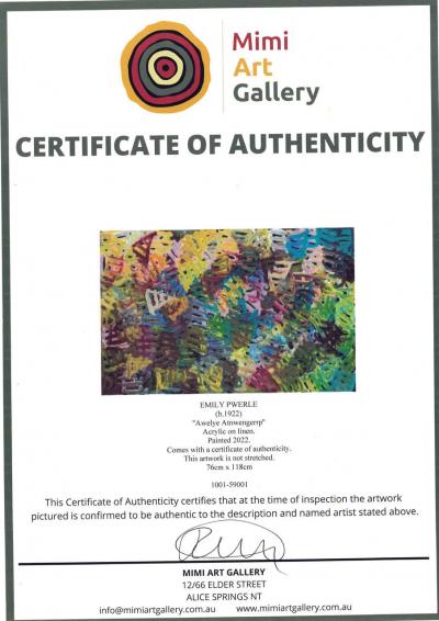 Emily Pwerle Aboriginal Contemporary Painting Awelye Atnwengerrp by Emily Pwerle
