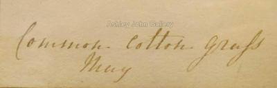 Emily Stackhouse Common Cotton Grass Eriophorum Angustifolium 