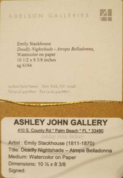 Emily Stackhouse Deadly Nightshade Atropa Belladonna 