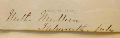 Emily Stackhouse Moth Mullein Verbascum Blattaria 