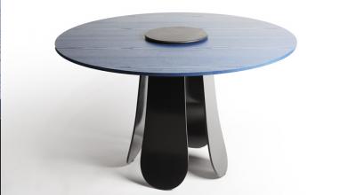 Emmanuel Levet Stenne Elytre center table