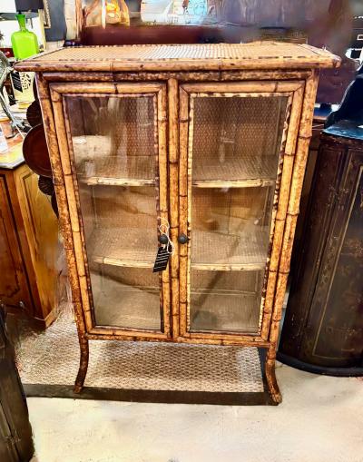 English 19th Century Scorched Bamboo Glazed Bookcase