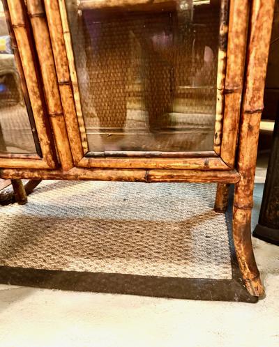 English 19th Century Scorched Bamboo Glazed Bookcase