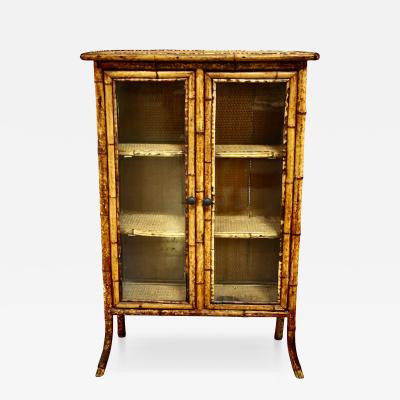 English 19th Century Scorched Bamboo Glazed Bookcase