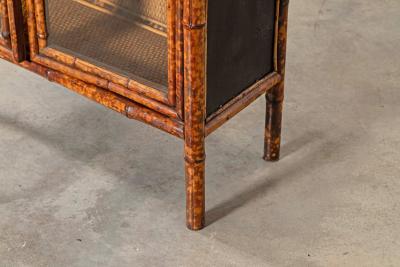 English 19thC Bamboo Rattan Glazed Cabinet