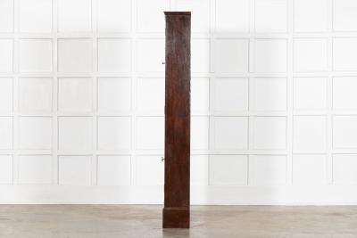 English 19thC Mahogany Glazed Chemist Cabinet