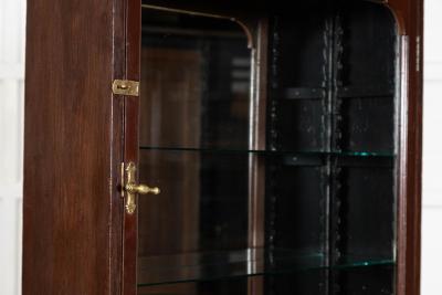 English 19thC Mahogany Glazed Chemist Cabinet