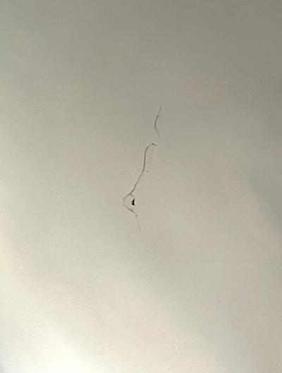 English George III Giltwood and Ebonized Frame Convex Mirror circa 1800