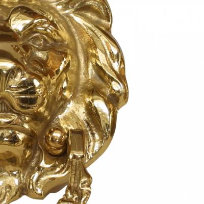 English Georgian Brass Lion Door Knockers
