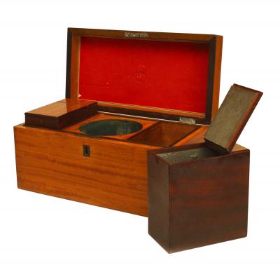 English Georgian Satinwood Tea Box