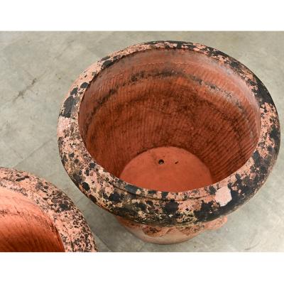 English Pair of Large 20th Century Terracotta Decorated Planters
