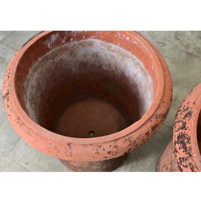 English Pair of Large 20th Century Terracotta Planters