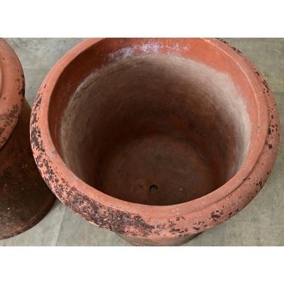 English Pair of Large 20th Century Terracotta Planters