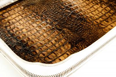 English Plated High Bordered Frame Crocodile Interior Barware Tray