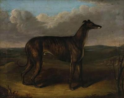English Portrait of a Prize Winning Greyhound The Sultan by J Thompson 1838