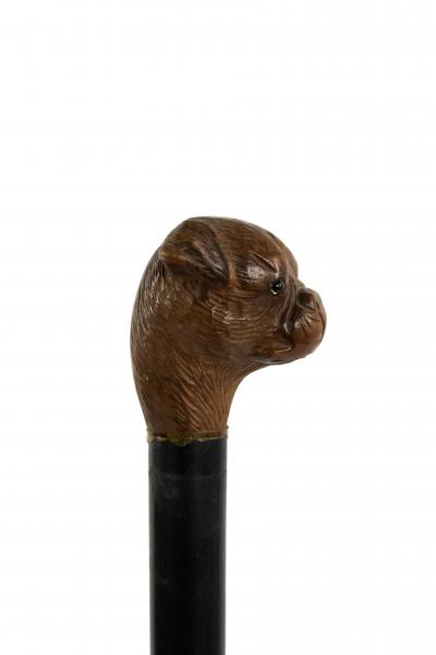 English Victorian Bull Dog Cane