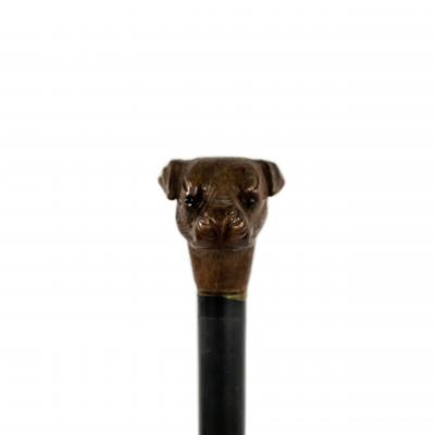English Victorian Bull Dog Cane