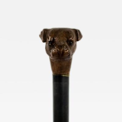 English Victorian Bull Dog Cane