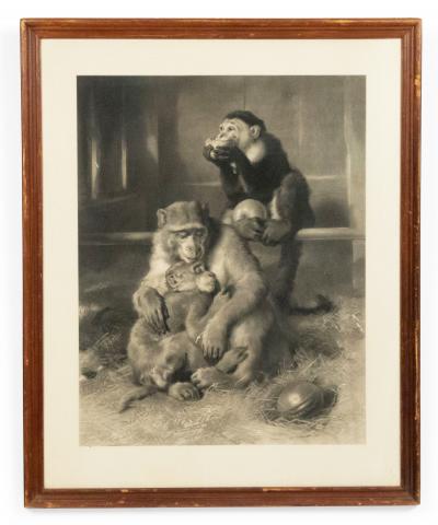 English Victorian Monkeys Lithograph