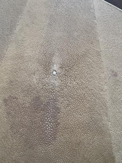 Enrique Garcel HIGH STYLE SHAGREEN AND MACASSAR ART DECO REVIVAL TABLE BY ENRIQUE GARCEL