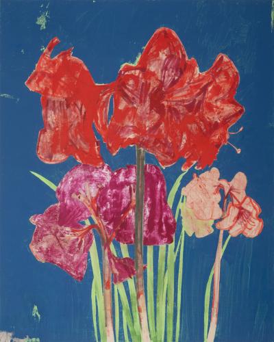 Eric Dever Amaryllis and Alteo