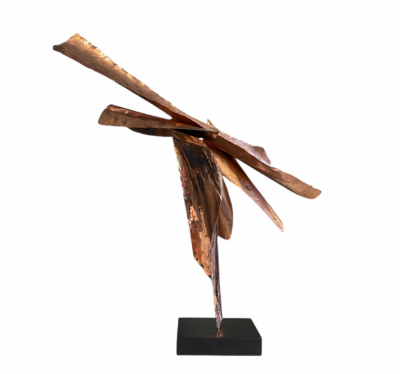 Erica Larkin Gaudet Elevate 2025