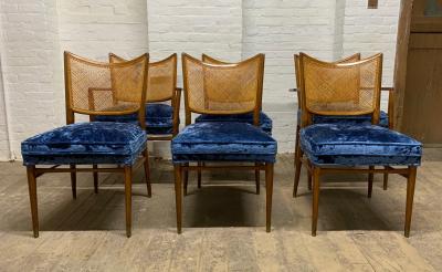 Erno Fabry Set of 6 Erno Fabry Cane Back Dining Chairs