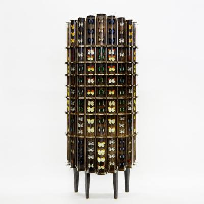 Erwan Boulloud Cabinet de Curiosit s