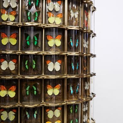 Erwan Boulloud Cabinet de Curiosit s