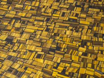 Etienne Allemeersch Tiger eye coffee table